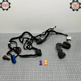 Alfa Romeo 00505459000 17-23 Giulia Front Right Passenger Door Panel Wire Wiring Harness Oem