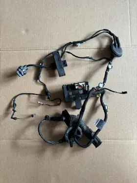 Audi 8w0971687ae 2017-2024 A4 Quattro S4 - Rear Left Door Wiring Harness