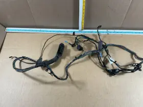 Bmw 6925548 2011 - 2013 X5 E70 Rear Left Driver Side Door Wire Wiring Harness Oem