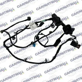 Buick 13462892 2015-2017 Regal Rear Right Side Door Wire Harness Wiring Oem