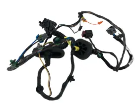 Buick 25970116 2009 09 Enclave Rear Left Driver Door Harness Wire Wiring Oem