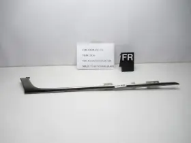 Cadillac 22771535 2014-2019 Cts Front Right Side Door Panel Molding Trim Oem