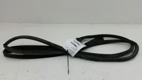 Ford 737.fd1k10 Fusion On Door Seal Rubber Gasket Right Passenger Front Oem 2009 2010 2011