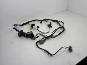 Ford Bc3t-14631-bka 2011-12 F250-450 Right Side Door Harness Oem Bc3t-14630-kg Ford Bc3t-14631-bka 2011-12 F250-450 Right Side Door Harness Oem Bc3t-14630-kg