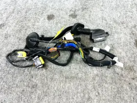 Hyundai 91610-s2050 19-20 Santa Fe Front Right Rh Pass Side Door Assy Wire Harness Oem