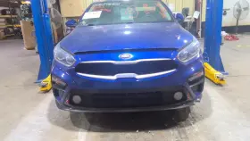 205.KI1F19 KIA Door Panel Rear Forte