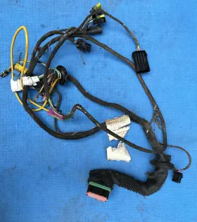 Maserati 200490 4200 Coupe / Spyder Door Wiring Harness P/n